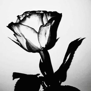 Meet your Posher, Richard